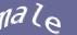 Enter the word