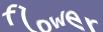 Enter the word
