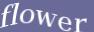 Enter the word
