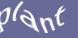 Enter the word