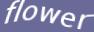 Enter the word