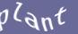 Enter the word