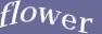 Enter the word
