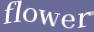 Enter the word